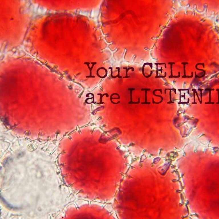 Τα κύτταρά σας ακούνε