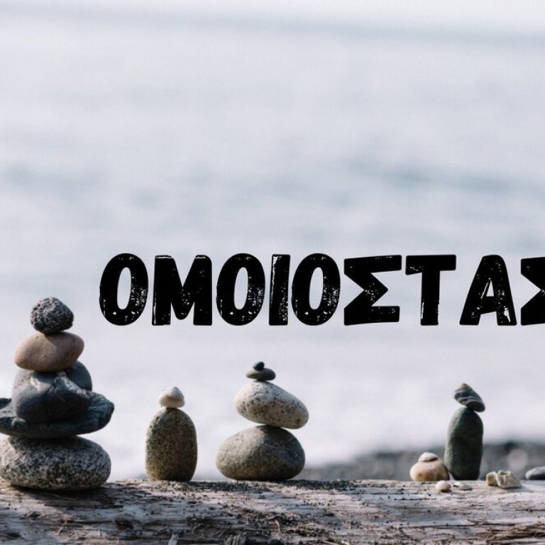 Ομοιόσταση